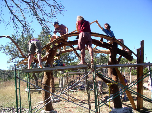 Roof planks 1