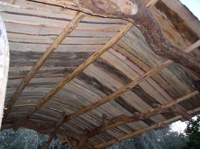 Roof underside 2