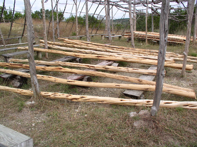 Floor joists for stage