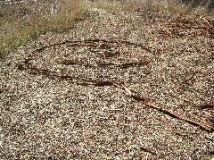 Mulch art 2