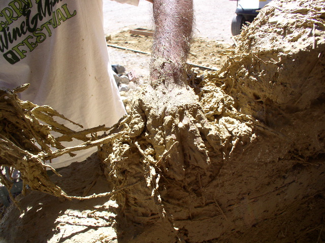 closeup of worker mixing cob with hands and wearing a Kerrville Wine & Music Festival shirt