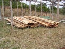 Loblolly lumber pile